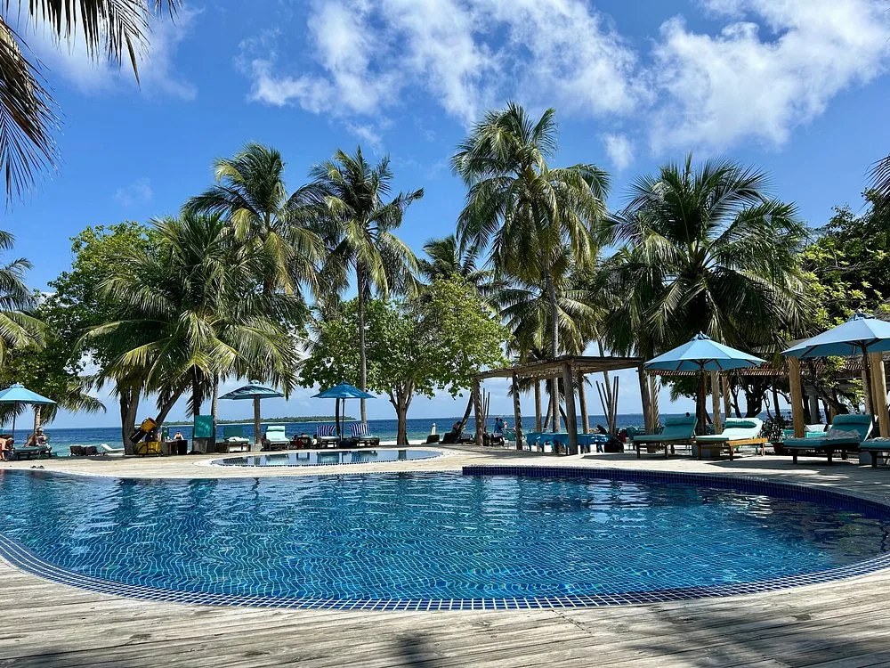 Furaveri Maldives: Бассейн и пляж 1